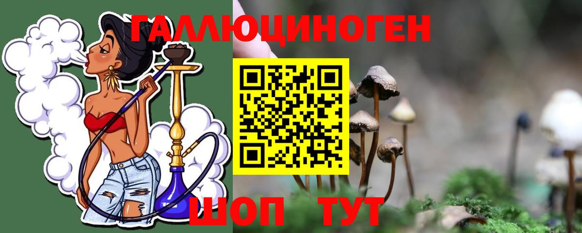 Псилоцибиновые грибы прущие грибы Реутов