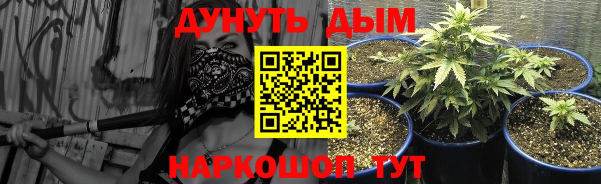 Бошки Шишки план Реутов